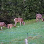 Au Domaine De Py Le Valtin