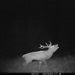 Au Domaine De Py Casa de hóspedes 3*