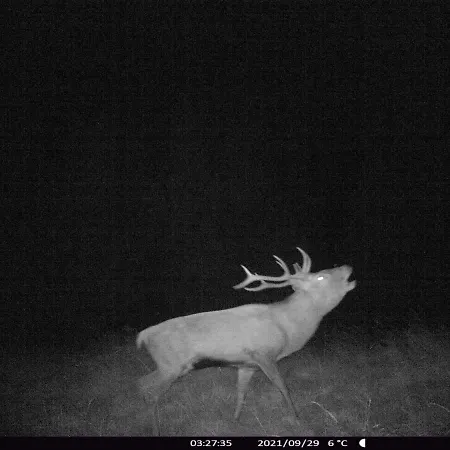 Au Domaine De Py 招待所 3*