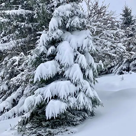 Au Domaine De Py 招待所