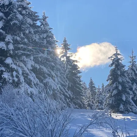 招待所 Au Domaine De Py 3*