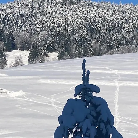 Au Domaine De Py 招待所