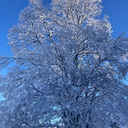 Au Domaine De Py 招待所 勒瓦伦丁