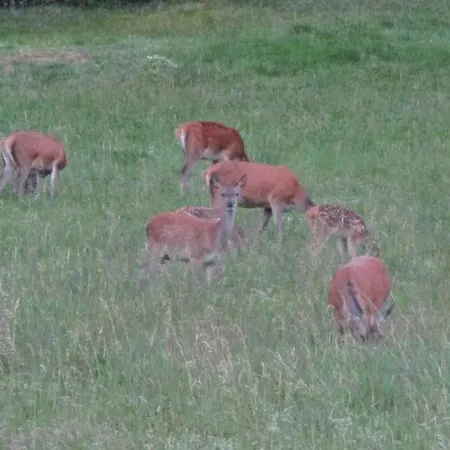 招待所 Au Domaine De Py