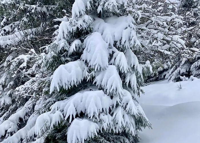 Au Domaine De Py Pensjonat