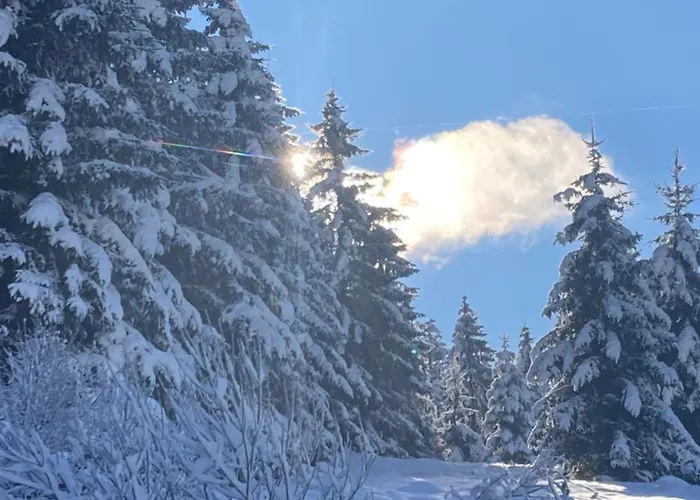 Pensjonat Au Domaine De Py 3*