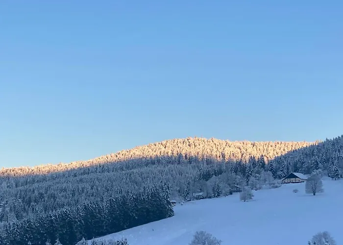 Au Domaine De Py Pensjonat 3*