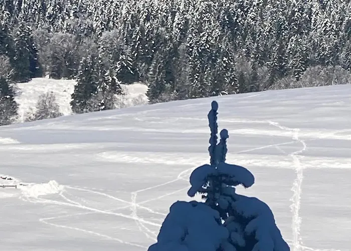 Au Domaine De Py Pensjonat