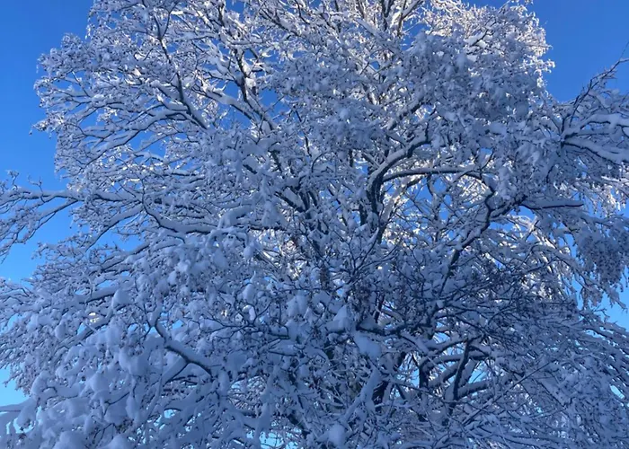 Au Domaine De Py Pensjonat Le Valtin